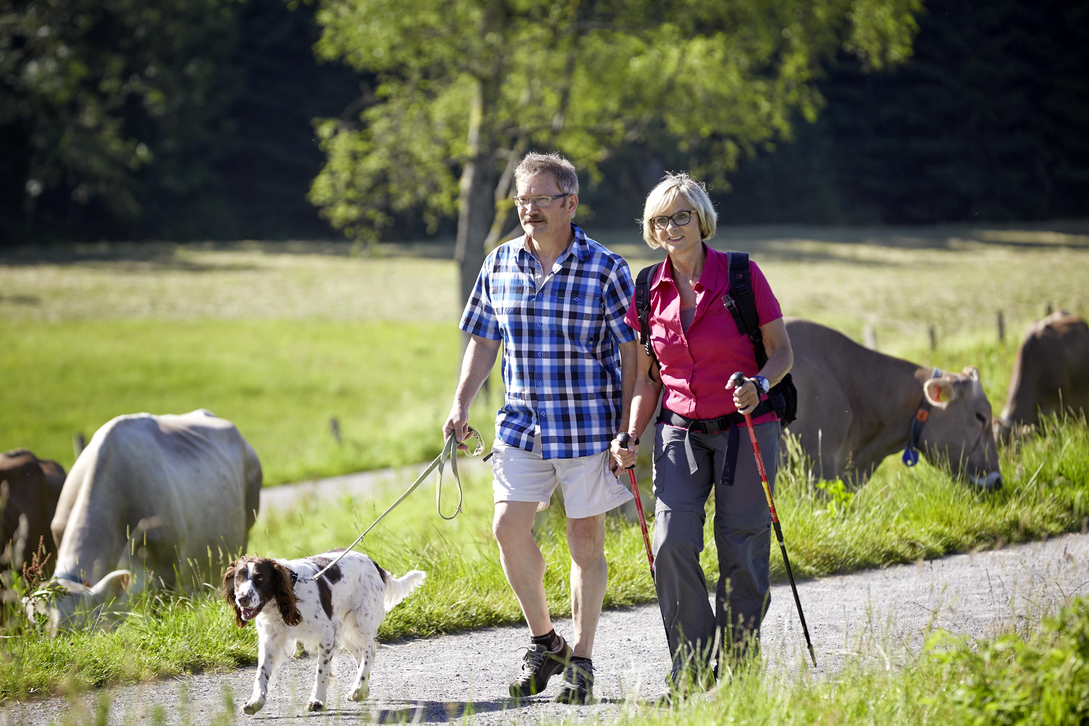 Zwei ältere Menschen mit Hund am wandern