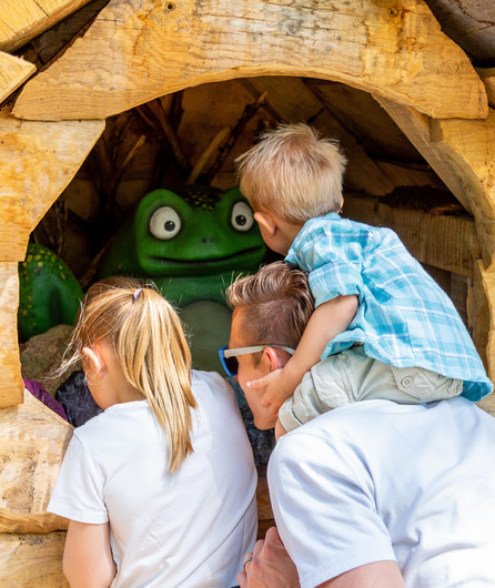 Frosch Amadeus