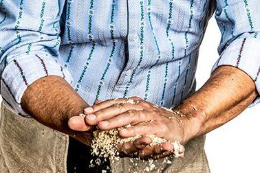 Schwinger reibt sich mit Sand die Hände